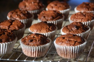 double chocolate spice muffins