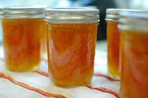 Kumquat Jam Preserves