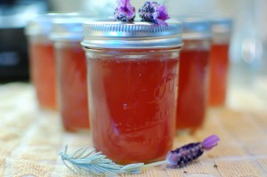 Lavender Nectar Jelly