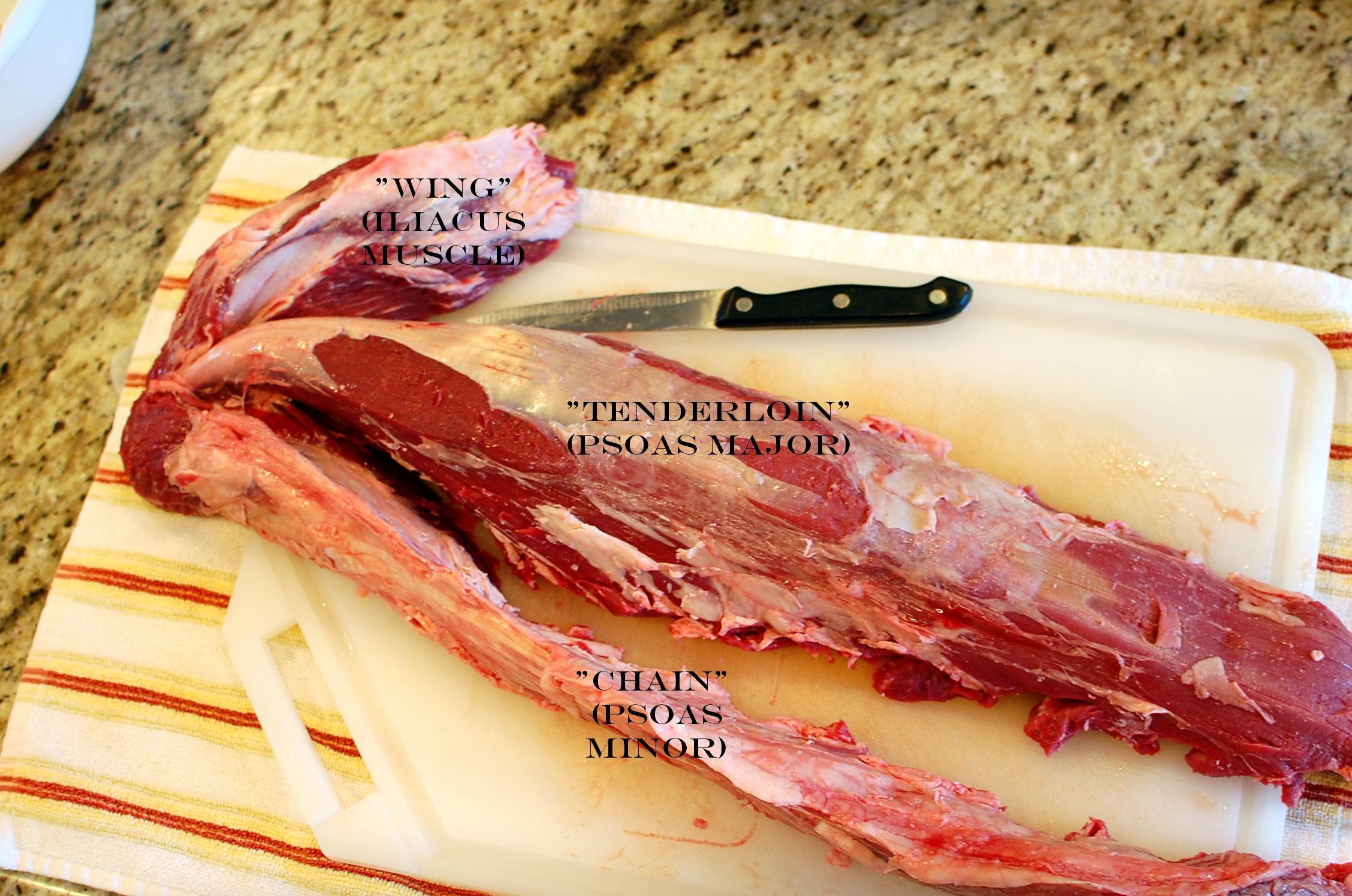 Beef Tenderloin Butcher Chart