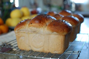 Sweet Red Bean Milk Bread