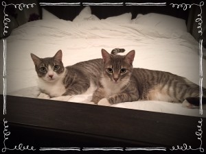Jack and Remy Jack and Remy